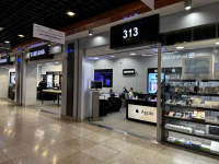سامسونگ 313